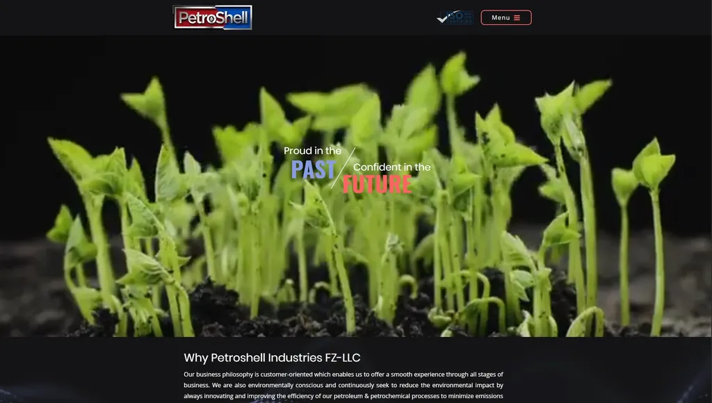PetroShell website preview